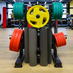 Диск обрезиненный FASSION цветной D51 мм PROFI-FIT 10 кг