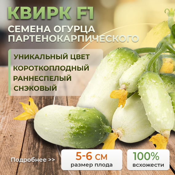 КВИРК F1 семена огурца Rijk Zwaan отзывы