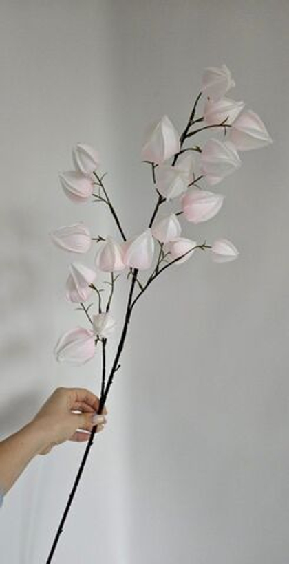 Физалис / Арт 2366