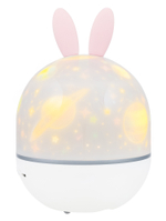 Астропланетарий Levenhuk LabZZ Star Sky P1