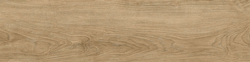 Керамогранит Baltic_GT темно-бежевый 19,8x80 GT208021210MСR