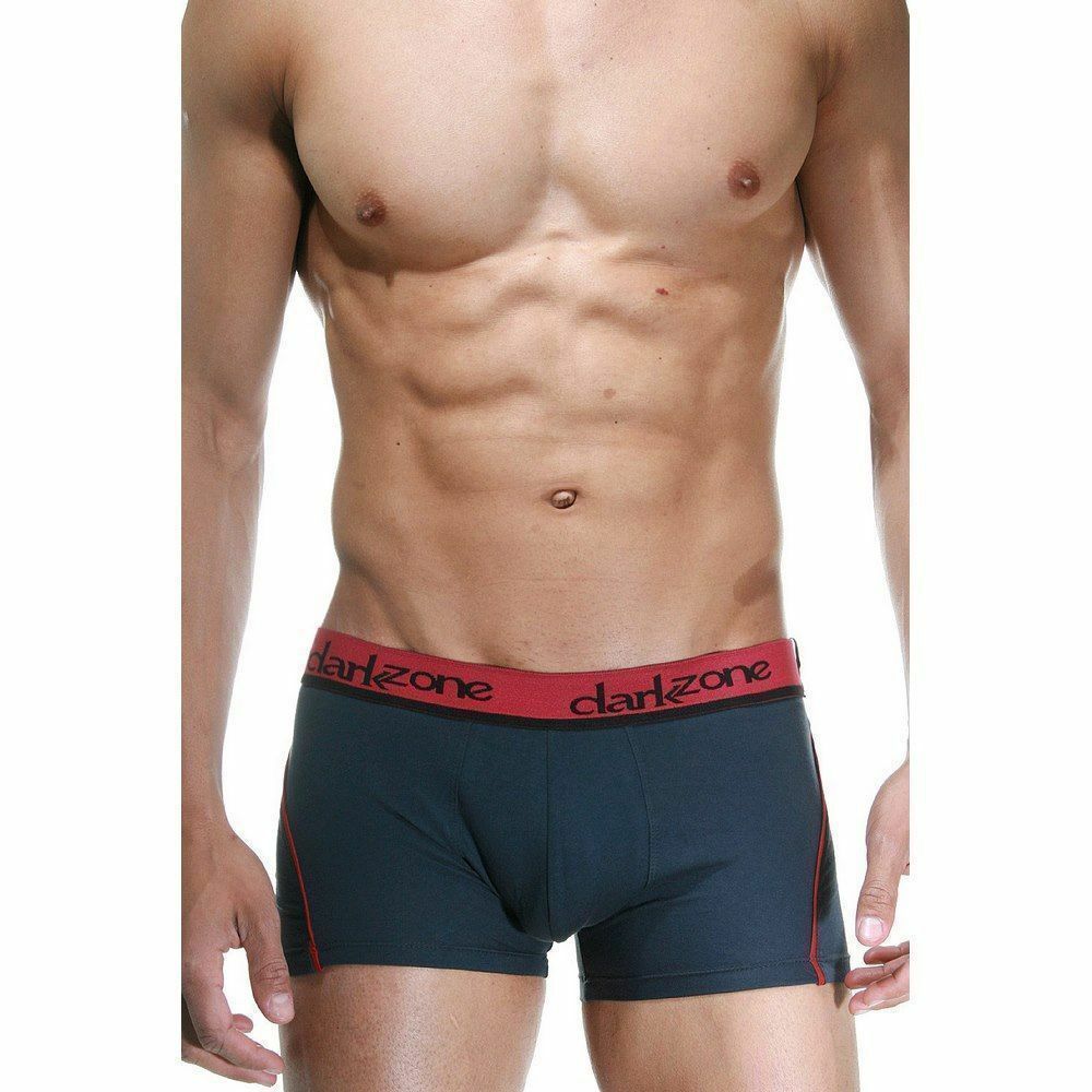 Трусы мужские боксеры темно-серые DARKZONE DZN3111