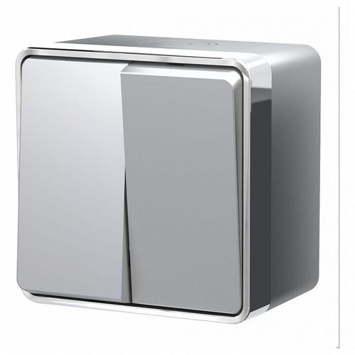 Выключатель двухклавишный Werkel W5020206