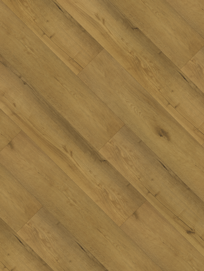 КАРДИНАЛ 604