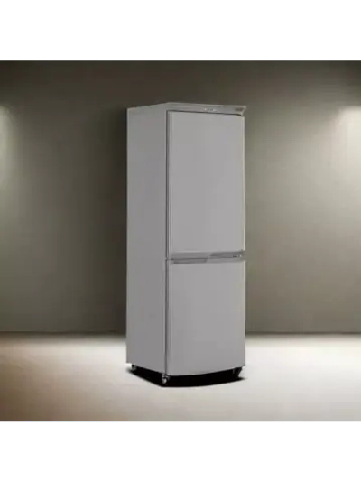 Холодильник двухкамерный R-290 NG