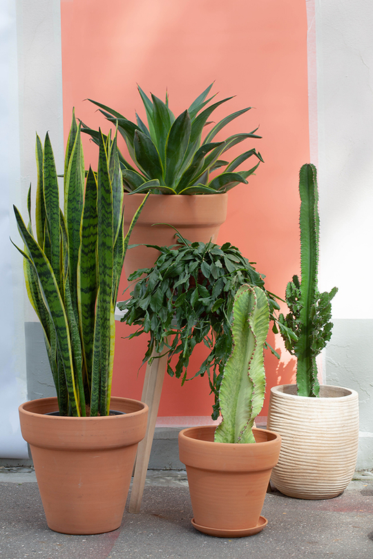 Мексиканский набор