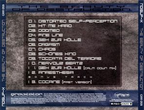Noisuf-X / The Beauty Of Destruction (RU)(CD)