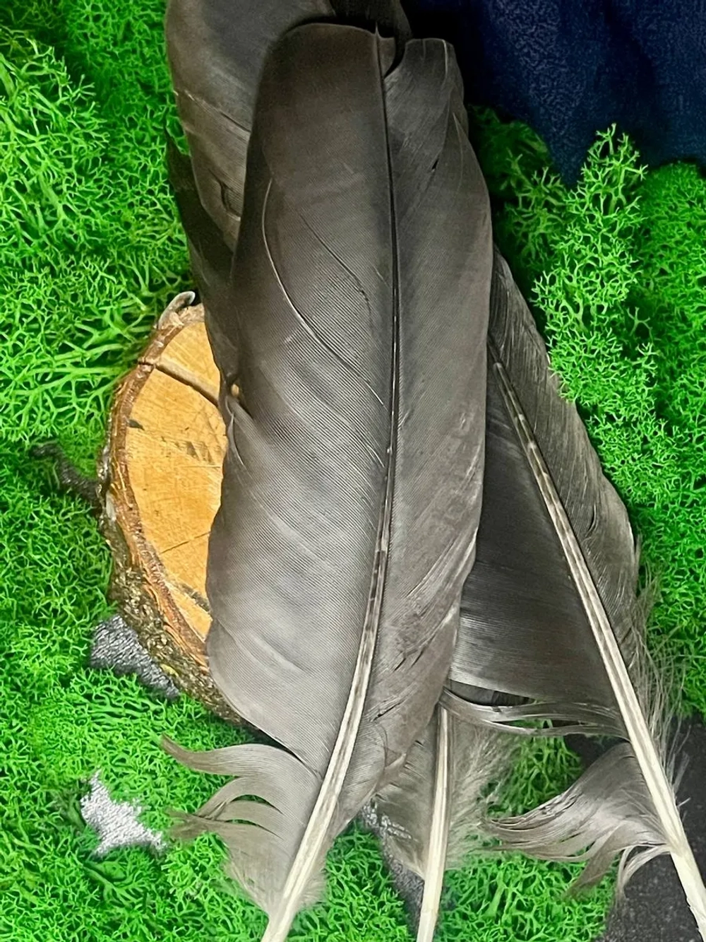 Перо Черного Ворона