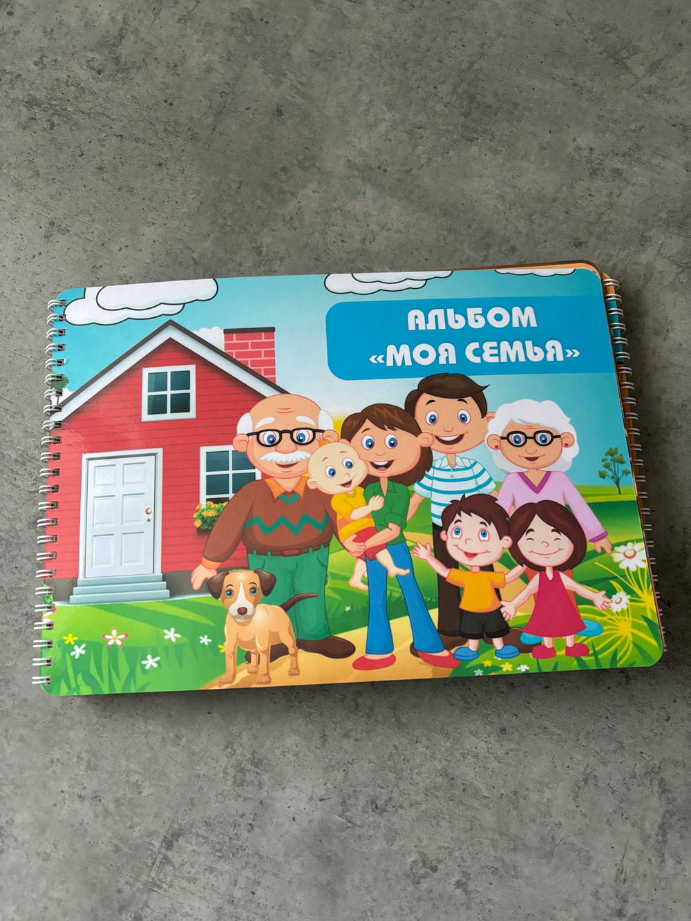 Альбом игр на липучках "Моя семья"