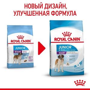 Корм для щенков очень крупных размеров с 8 месяцев, Royal Canin Giant Junior