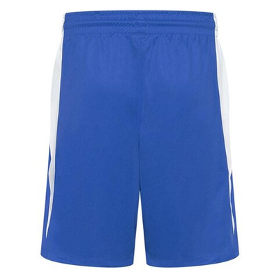 Баскетбольные женские шорты Women's Nike Team Basketball Stock Short 20 Blue