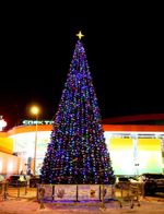 Уличная гирлянда "Динамика GT" (24В) - для елок от 3 до 18 м