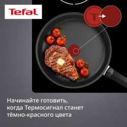 Сковорода Tefal Expertise 26 см G3210532