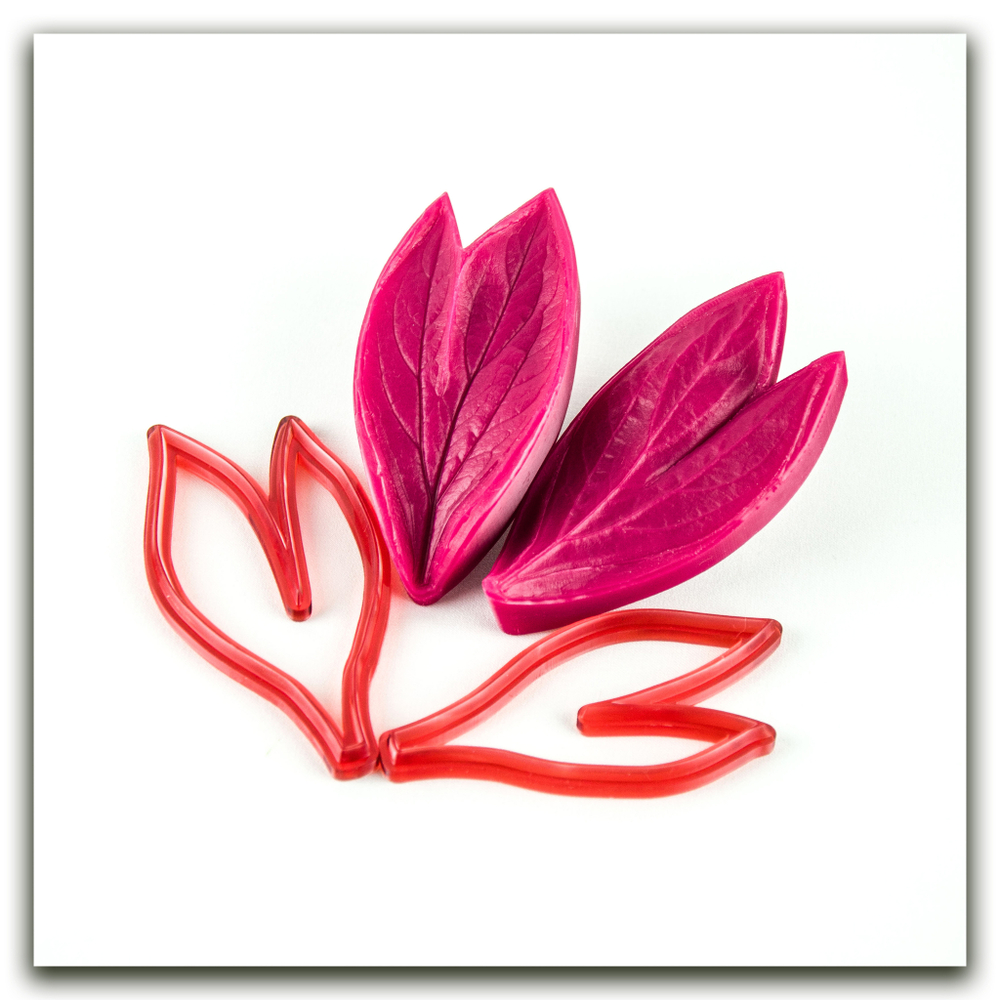 Лист пиона садового двойной