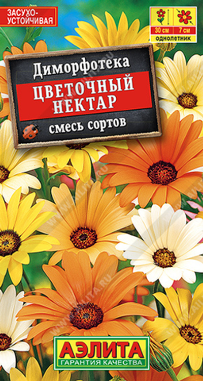 Диморфотека Цветочный нектар, смесь сортов