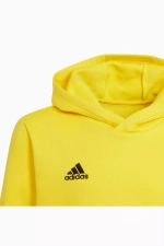 Кофта adidas Entrada 22 Junior