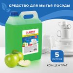 Средство для мытья посуды 5 л, LAIMA PROFESSIONAL, концентрат, "Яблоко", 604651