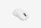 Дарк Проджект x VGN F1 Pro Max_0226709105732