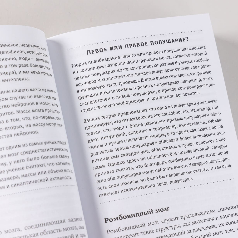 Взлом психологии. Все психологические теории в одной книге. Сэнди Мэнн