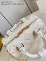 Louis Vuitton Speedy 20