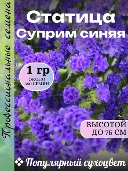 Семена Статица Суприм синяя 1 грамм