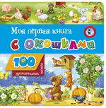 100 удивительных окошек