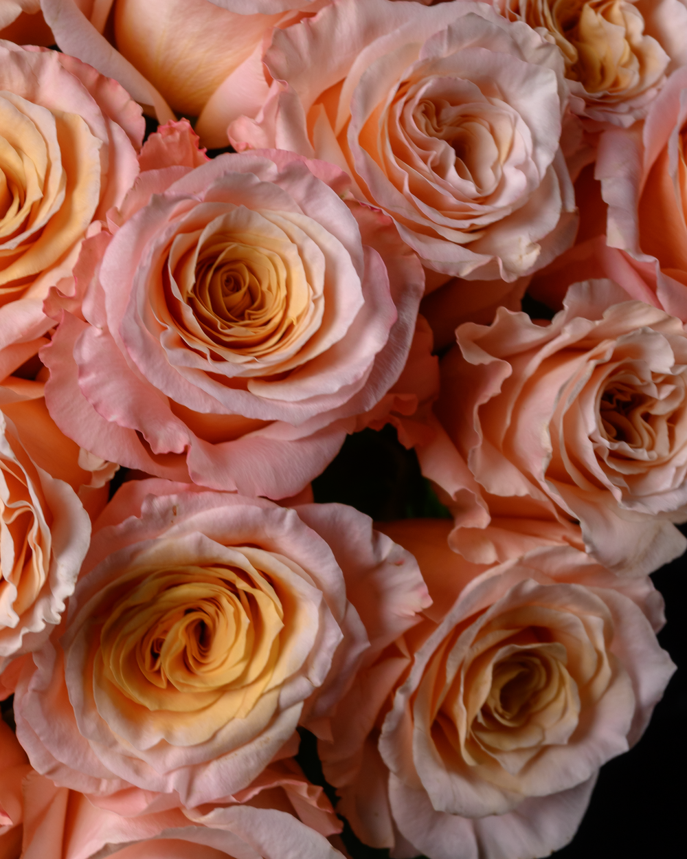 Монобукет теплый беж