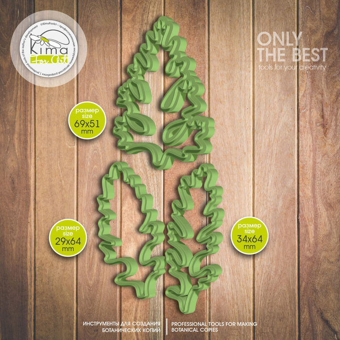 Цинерария набор