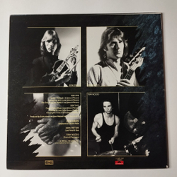 Винтажная виниловая пластинка LP UK Danger Money (Japan 1979) (No Obi) Nothing To Lose