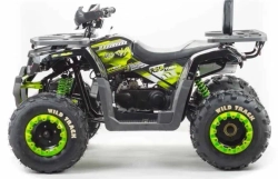 Квадроцикл Motoland 200 WILD TRACK LUX A