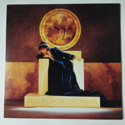 Винтажная виниловая пластинка LP Enya The Memory Of Trees (EU 2018)