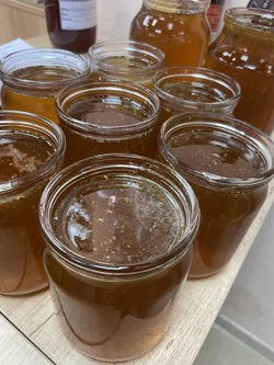 Мёд гречишный Алтайского края Косихинского района , 2024