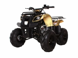 Квадроцикл Avantis Hunter 8M (125сс)