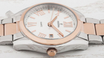 Женские наручные часы Festina F16795/1