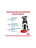ROYAL CANIN Maxi Puppy (Роял Канин Макси паппи) корм сухой для собак 20 кг.