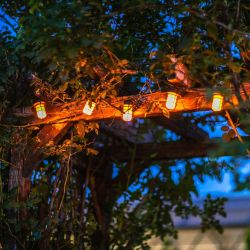 USL-S-121-PT2500 LANTERNS Садовая гирлянда на солнечной батарее Фонарики. 60 светодиодов. Эффект пламени. 1xАА Ni-Mh аккумулятор в-к. IP44. TM Uniel