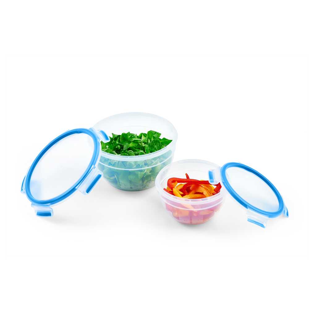 Набор из 2 контейнеров Tefal Masterseal 1,1/2,6л N1011610