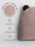 Шапка для мальчика осенняя с ушками