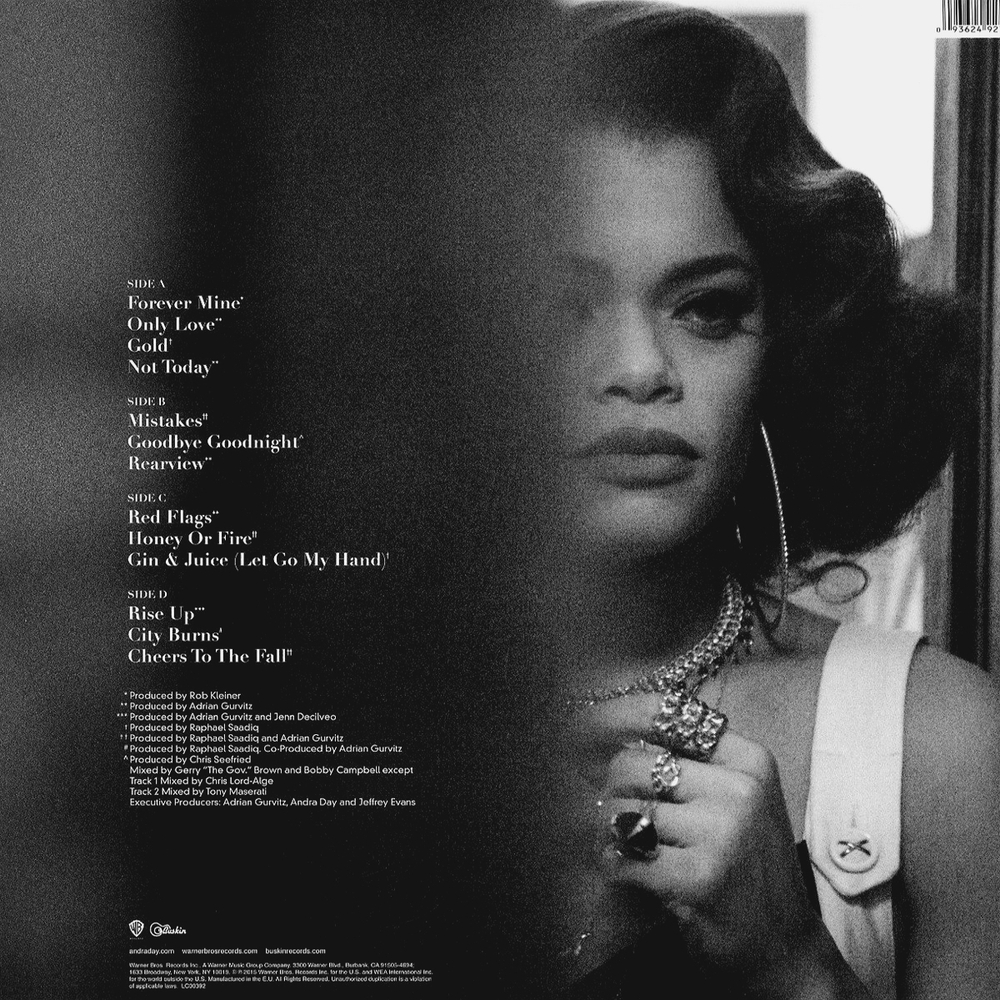 Andra Day / Cheers To The Fall (2LP)