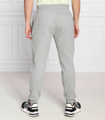 спортивные штаны aldwin GUESS ACTIVE - серый(Z2YB22 K9V31)