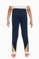 Штаны Nike FC Barcelona 23/24 Academy Pro Junior