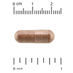 Quality of Life, Kinoko® Platinum AHCC®, 60 растительных капсул