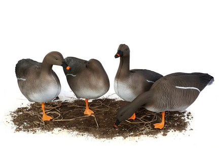 Гусь гуменник S-XPE мод. G6112X