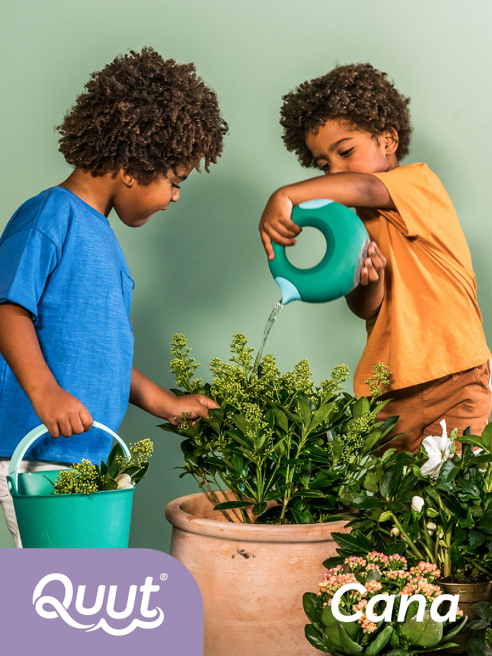 Волшебная лейка Cana (0.5 л)