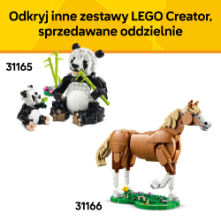 Конструктор LEGO Creator 31173 Тропический тукан 3 в 1 — фото 10
