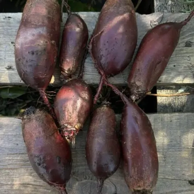 Свекла цилиндра "О, Батат", 500 г (цена указана за 500г, вес может отличаться)