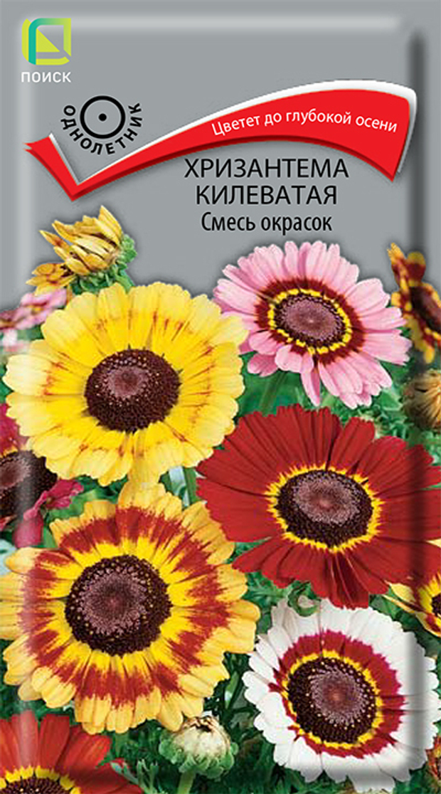 Хризантема килеватая Смесь окрасок
