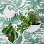 Органайзер для ванной surf, organic, 25х25,5х6,5 см, прозрачно-бирюзовый