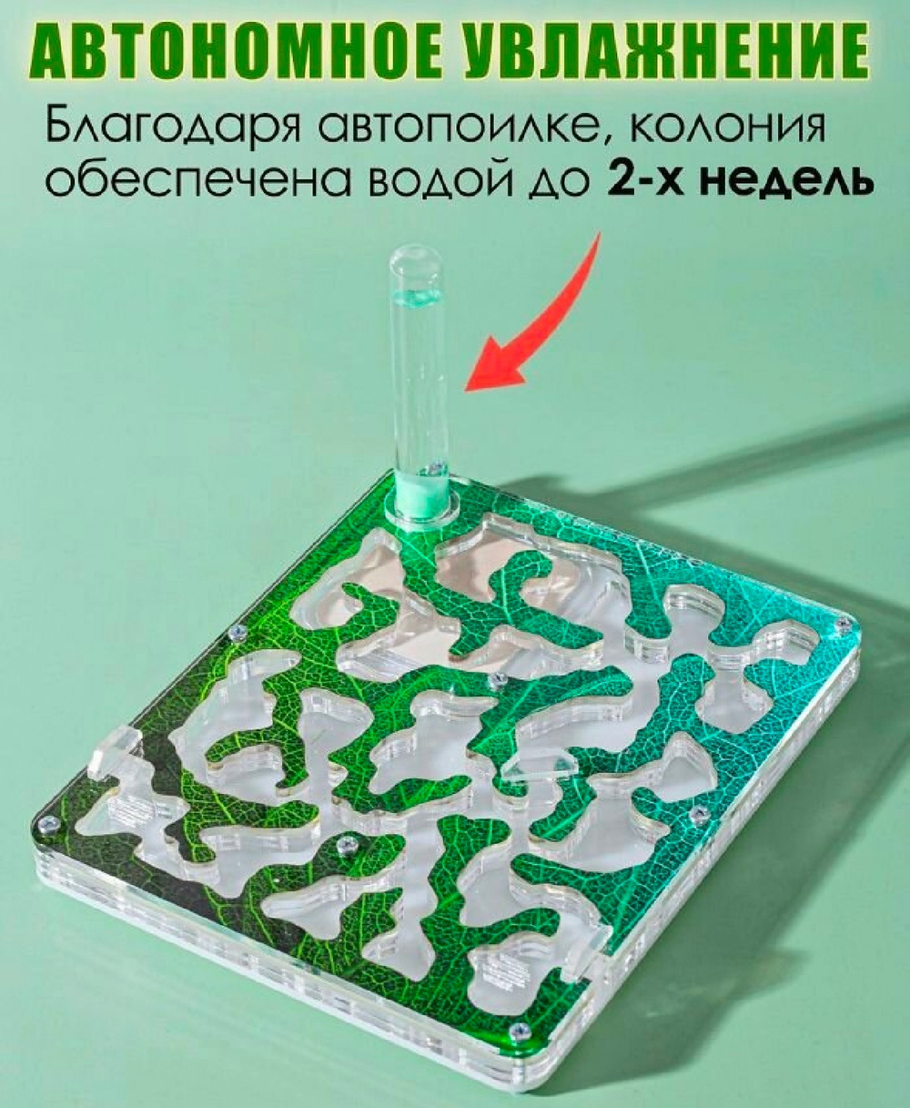 Дополнительный модуль для муравьиной фермы