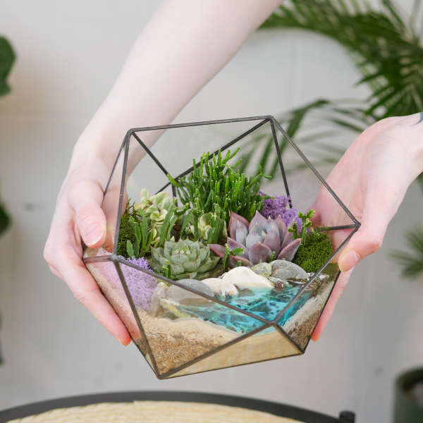 Готовый флорариум с суккулентами Икос S с озером